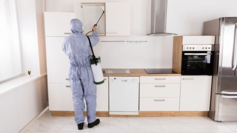 man wearing suit and spray gun to remove termites at home