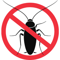 Cockroach Pest Control Melbourne